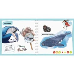 Ravensburger Tiptoi Pocket Wissen: Wale Und Delfine, Lernbuch 7 Ravensburger Tiptoi Pocket Wissen: Wale Und Delfine, Lernbuch -Trendiger Spielzeugladen Ravensburger tiptoi Pocket Wissen Wale und Delfine Lernbuch@@1607227 2