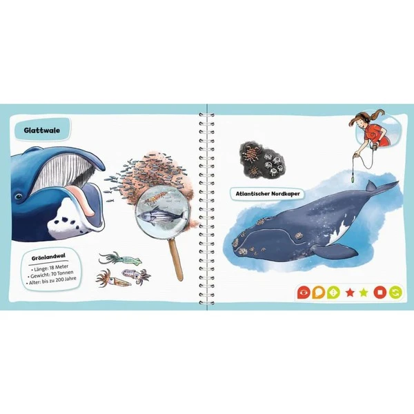 Ravensburger Tiptoi Pocket Wissen: Wale Und Delfine, Lernbuch 3 Ravensburger Tiptoi Pocket Wissen: Wale Und Delfine, Lernbuch – Bild 3